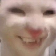 浔.的钢琴谱