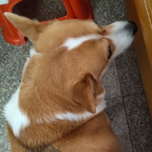 DWRG启动!!!的个人空间