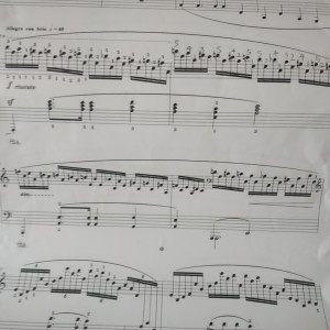 有理走遍天下,无理寸步难行。的个人空间