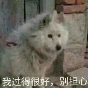 孤狼的个人空间