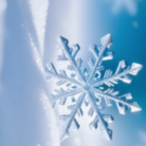 雪的钢琴谱