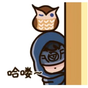 The Spectre的演奏视频