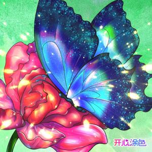 思瓜的个人空间