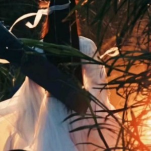 殺手小姐的遺憾的個(gè)人空間