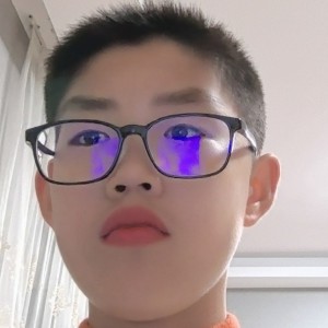 泥泞中的老虎的钢琴谱