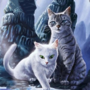 ❅星河入梦❅的个人空间