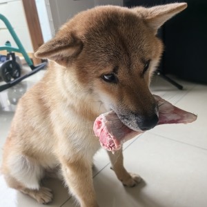 勇敢去做的钢琴谱