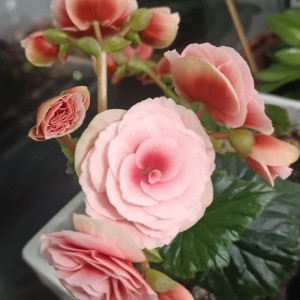 135****5224的个人空间