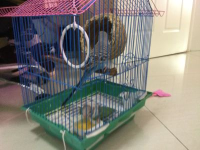 183****5671的钢琴谱