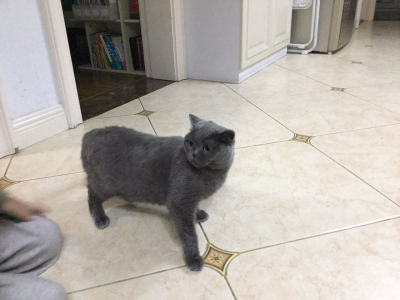 红星照我去战斗的演奏视频