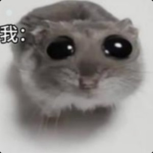 爱吃薯条的鼠的个人空间