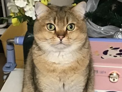冰星的个人空间