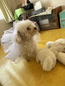 155****5961的个人空间