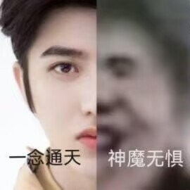 爱的回归线的演奏视频