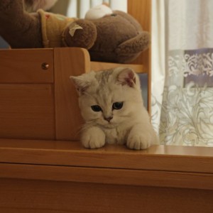 冉冉,的个人空间