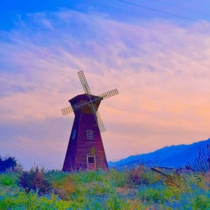 黑键白键我很键的钢琴谱