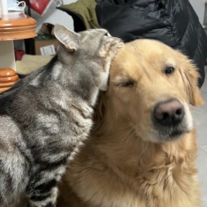 小渝的个人空间