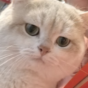 芒粿的个人空间