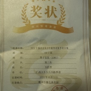 185****9629的钢琴谱
