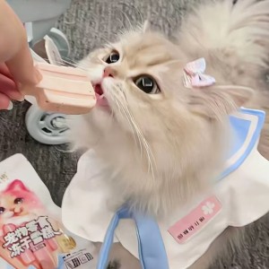 小熊要冬眠的钢琴谱
