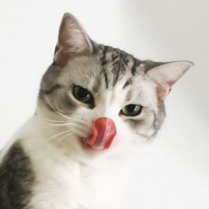 苗波的个人空间