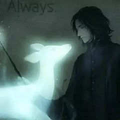 Ascended Vibrations的演奏视频