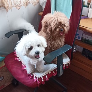 豆豆和lucky的个人空间