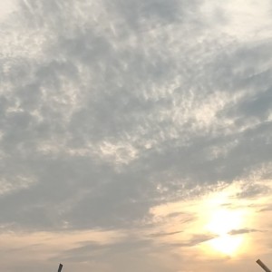 153****6131的钢琴谱