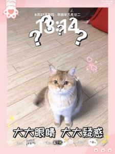 卡皮吧啦的钢琴谱