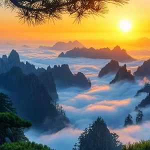 陈彦均的钢琴谱