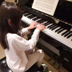 stephanie的钢琴谱