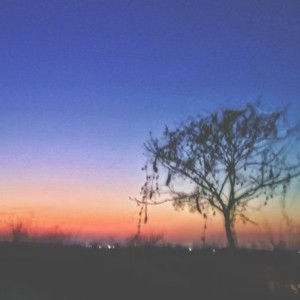 夜（七个的粉丝），爱七七的钢琴谱