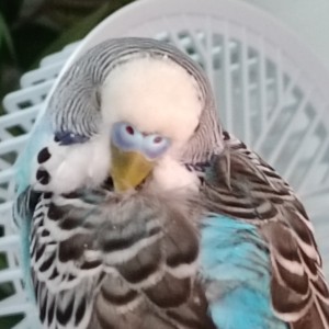 Grace的个人空间