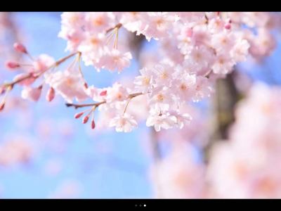 大拇指A的钢琴谱