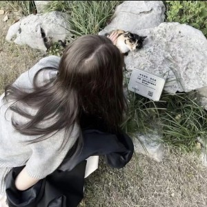 o的钢琴谱