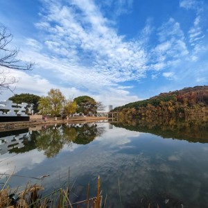 钢琴迷的个人空间