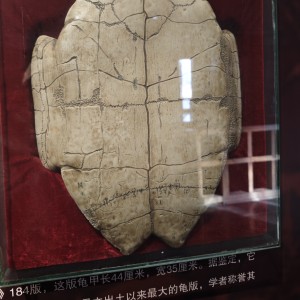 Larry瑞的个人空间