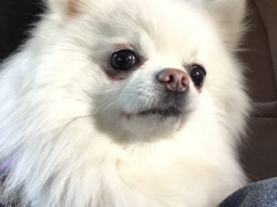 199****1853的钢琴谱