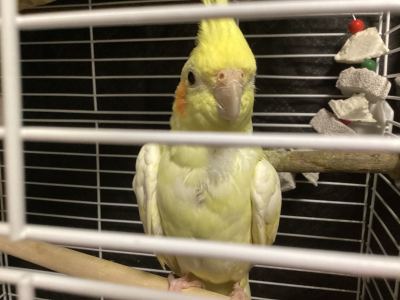 小鸟小小屋的个人空间