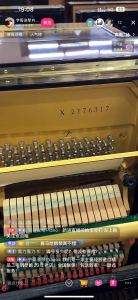 与光同晨的个人空间