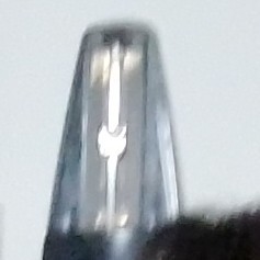 的演奏视频