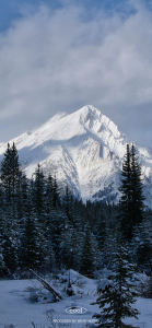 巨壑一滴的钢琴谱