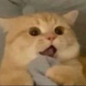 李木子的个人空间