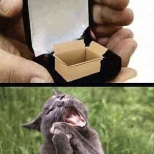 偏爱的演奏视频