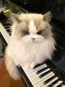 西鱼徐的个人空间