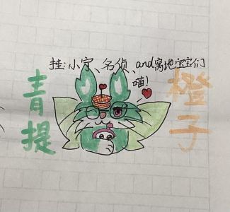 青提味的小橙子喵的个人空间