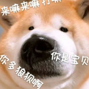雾雨的个人空间