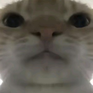 糊糊之的个人空间