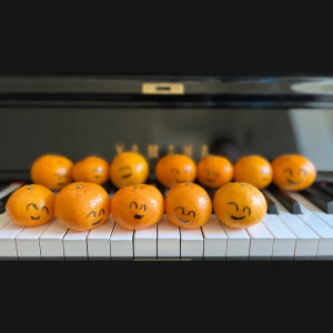 我想念的演奏视频