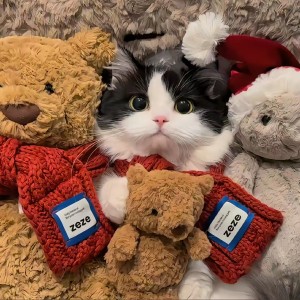 洛洛的个人空间